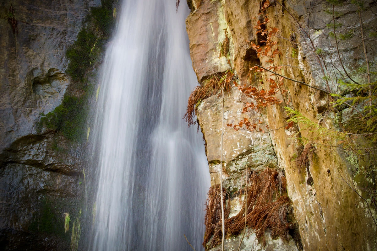 48242-7b871-40138364143-e4877cc003-o