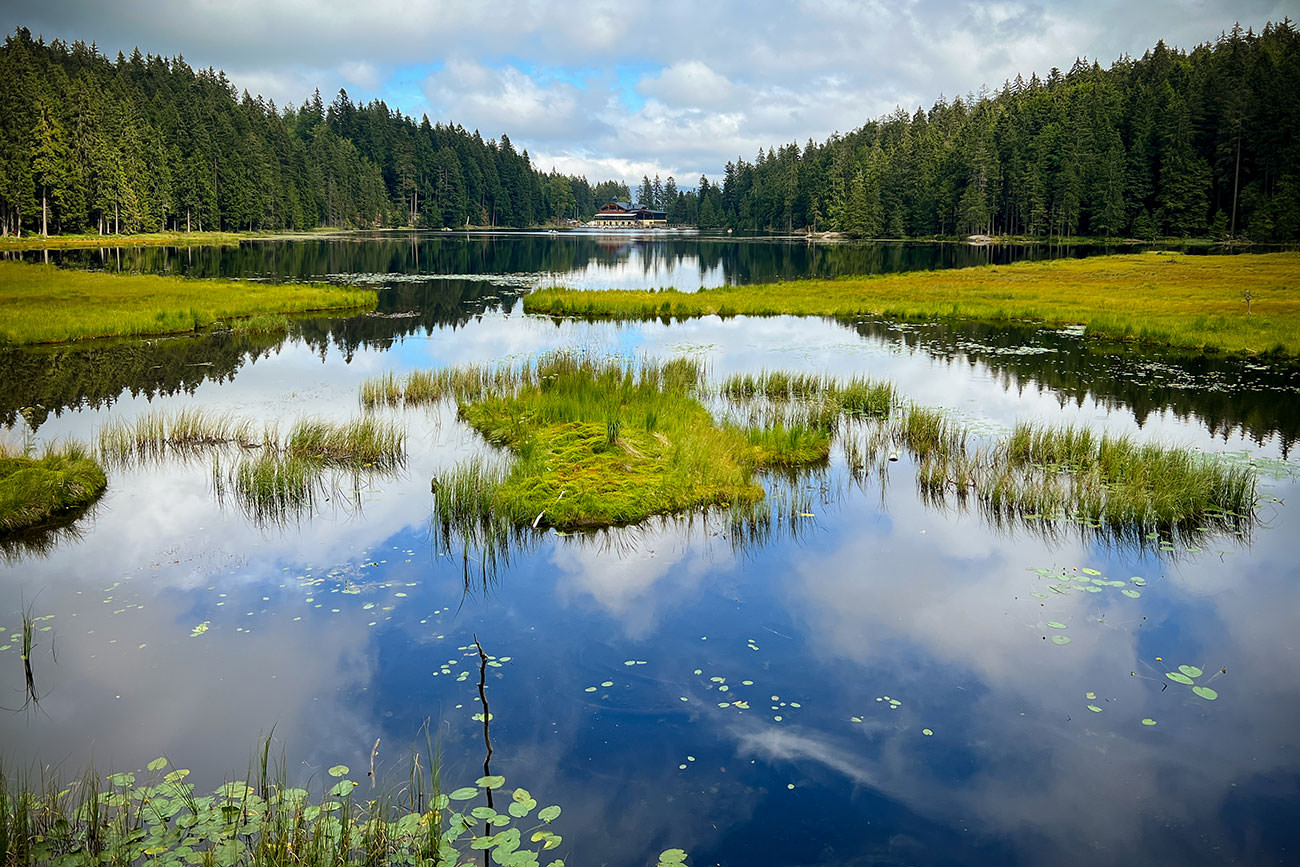 75d2d-c1e6d-52276794140-7e09dc461f-o