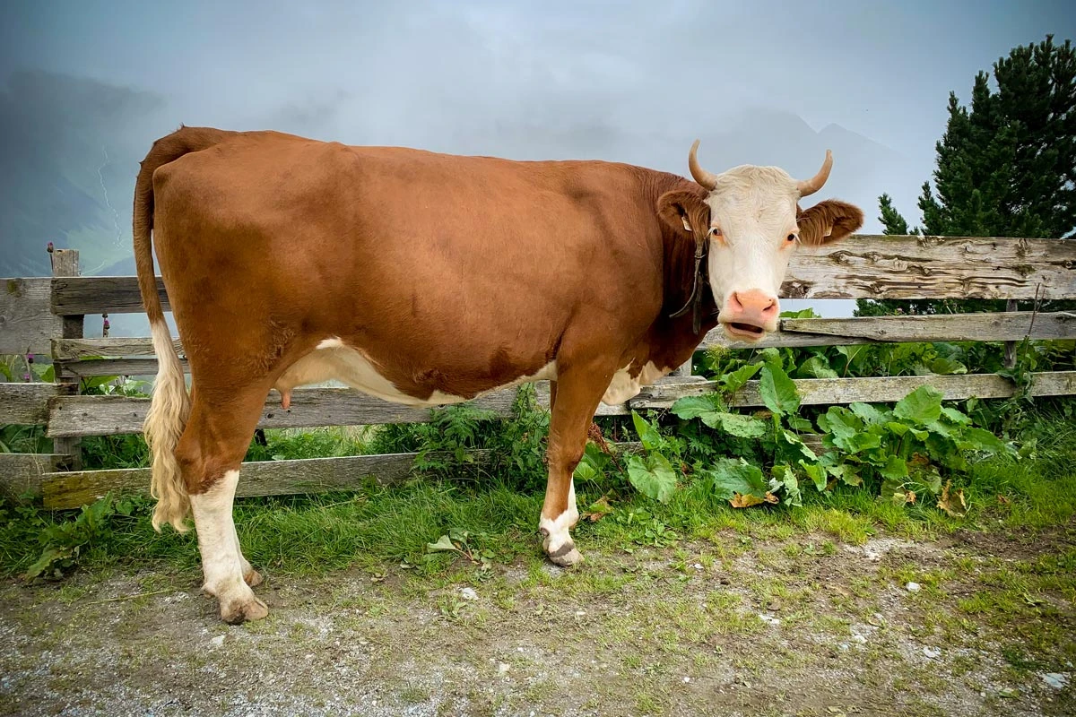 030d7-182f6-50205167587-5b1c00f9fb-o