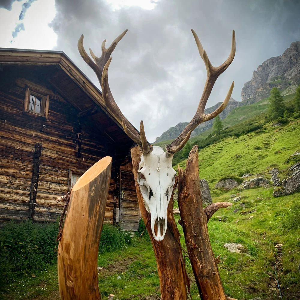 0ba20-636db-50204893891-e8668c1cd1-o