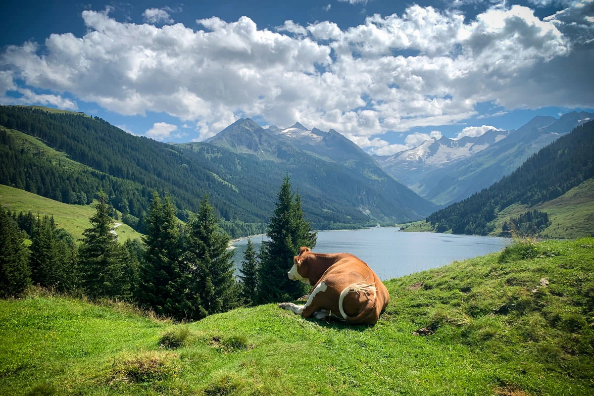 8dd7a-0e66e-50204894176-445b50f825-o