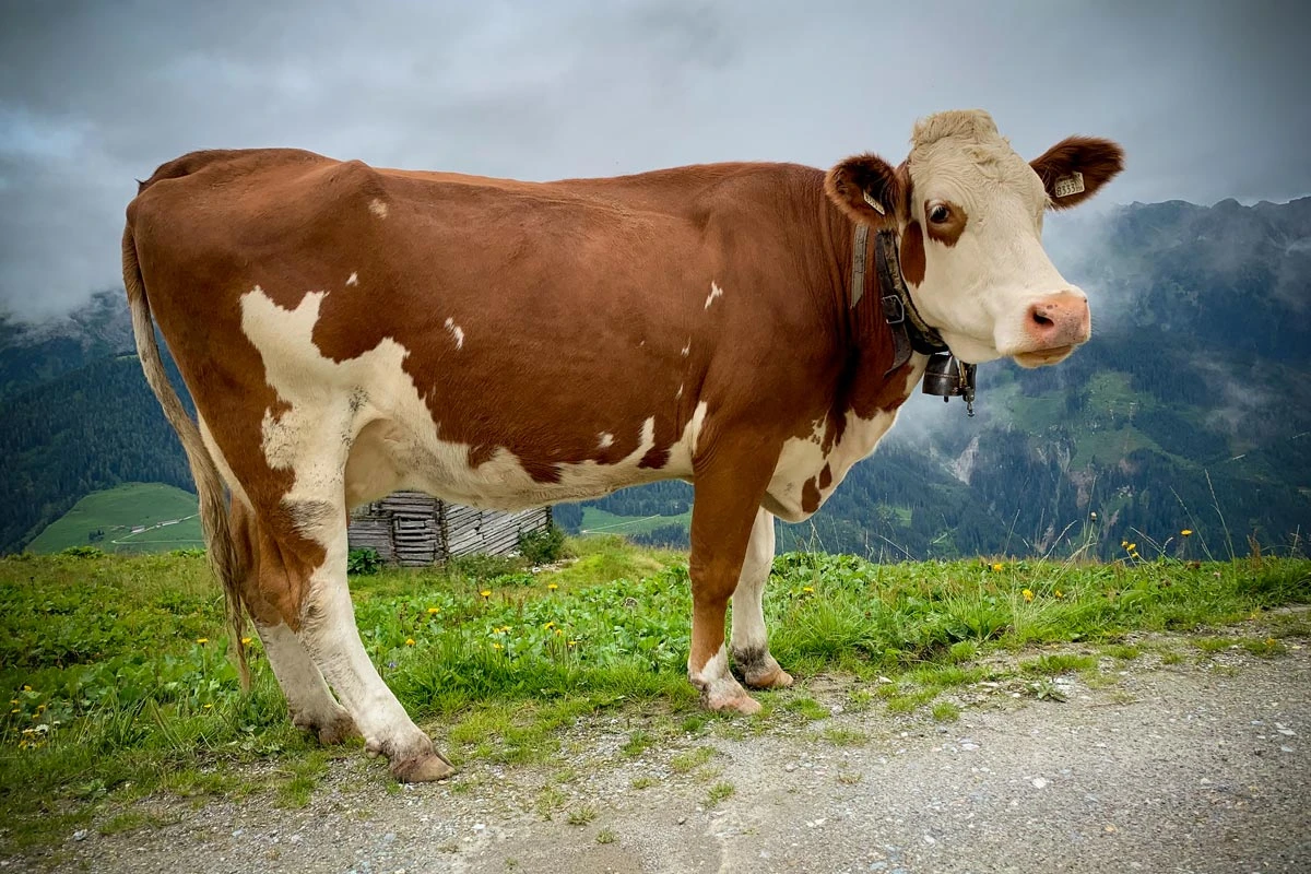 aab92-18285-50204894356-98f96c5b48-o