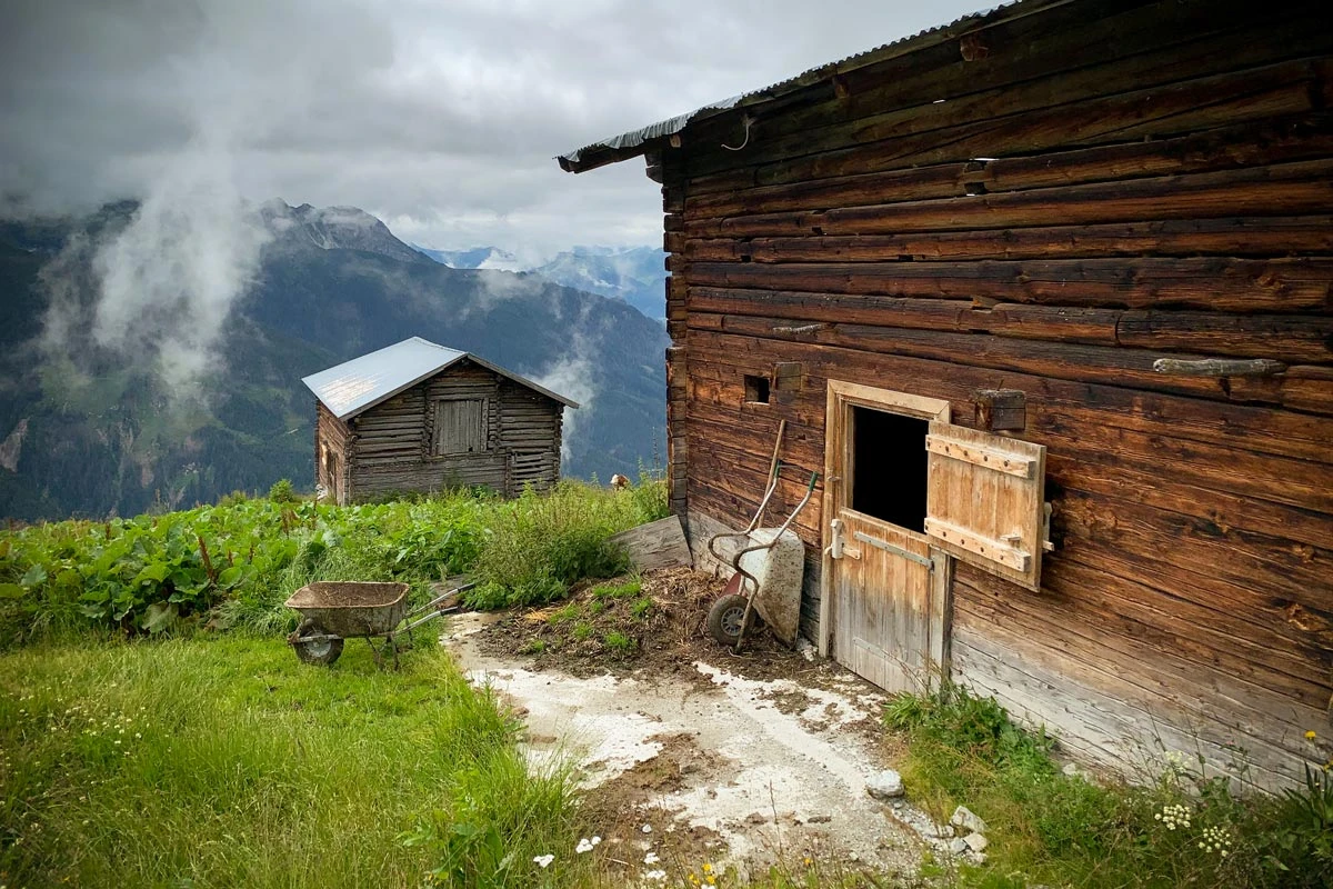 f085a-44301-50205167677-3fe82258d7-o