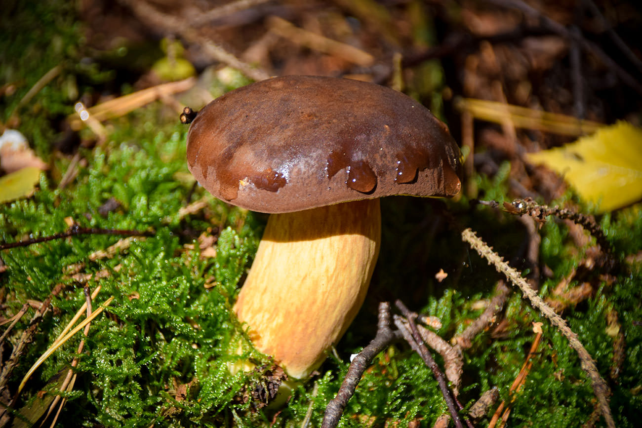 373c3-e1800-52408251952-f5555dc2bd-o