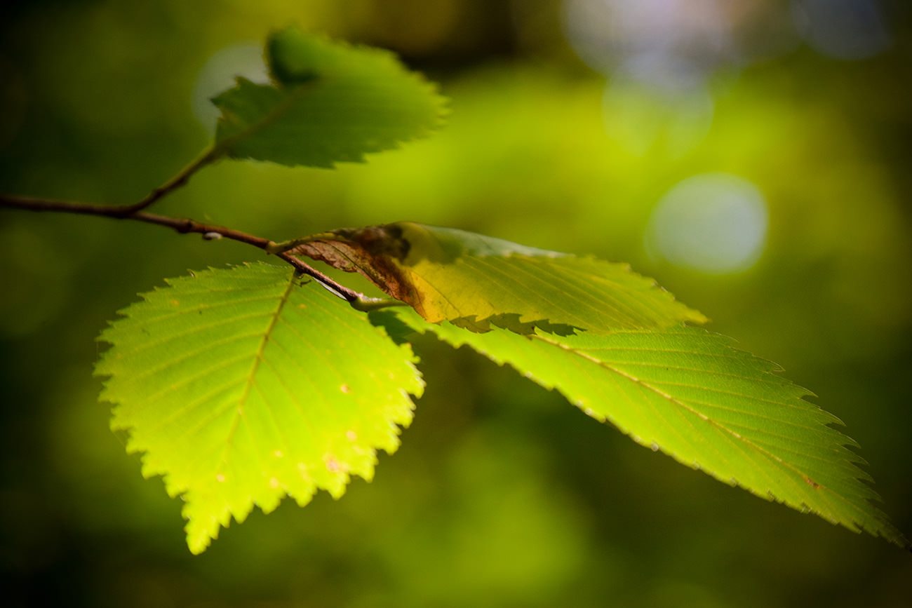 a8902-205c2-52408252007-71cddb4f37-o