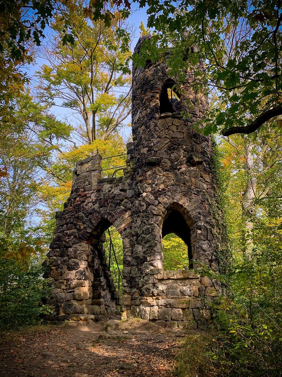 237f6-321ad-51605250491-e2d79e27b8-o