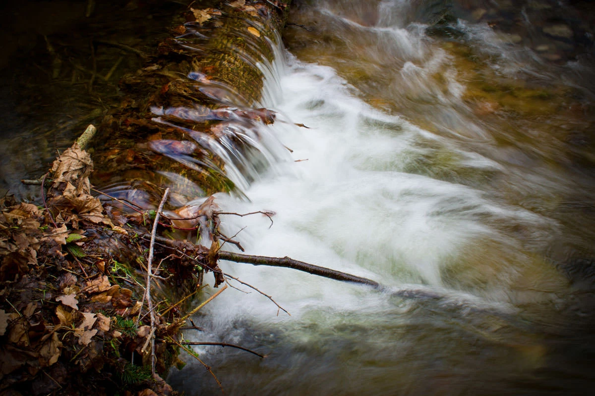 02d32-afea5-49556275732-4b7ab96d10-o