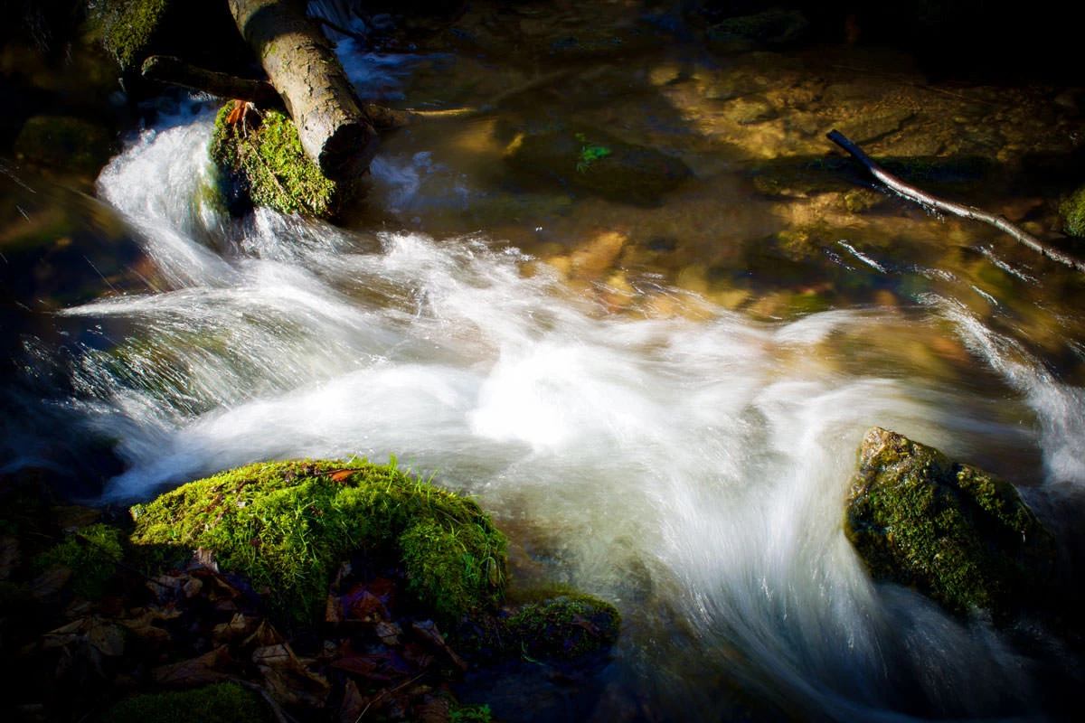 2d240-971c3-49556275847-6b29a39d39-o