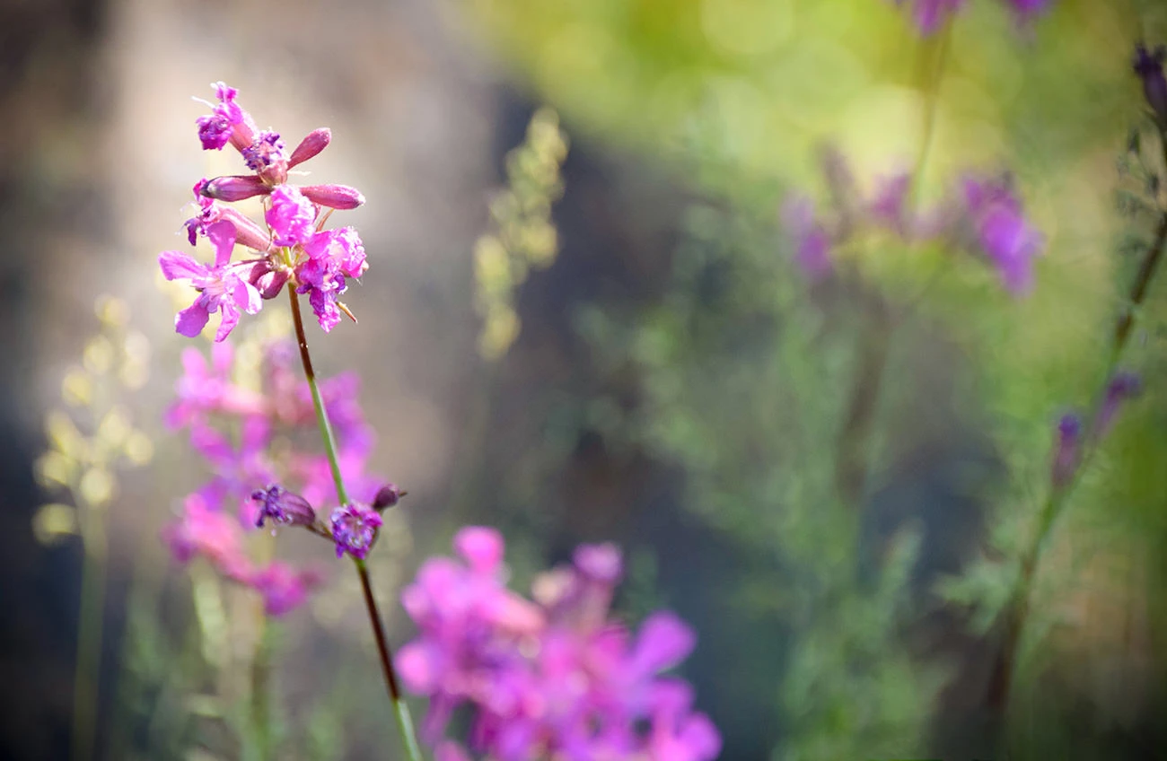 1b454-765c8-51229895382-9f724b9f24-o