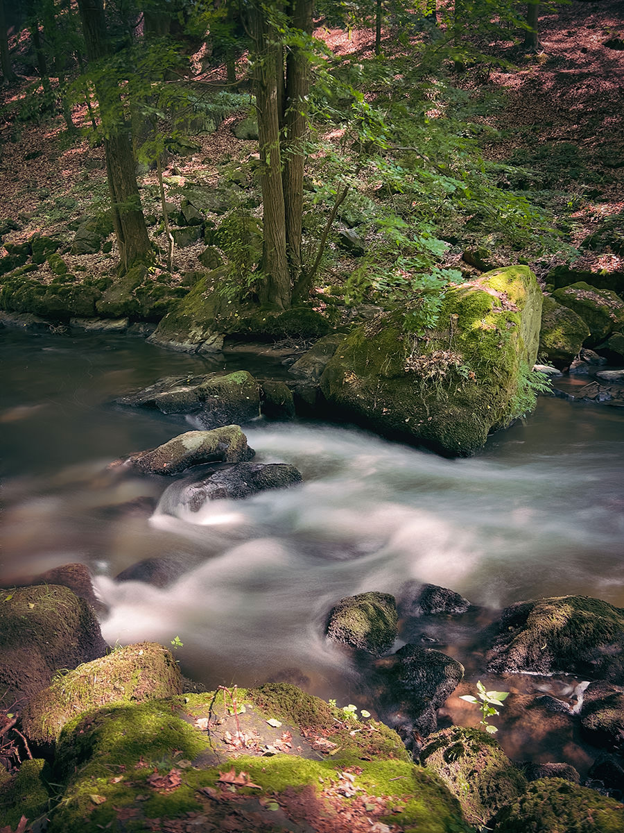 84231-596ec-53036395959-f16b3d829a-o