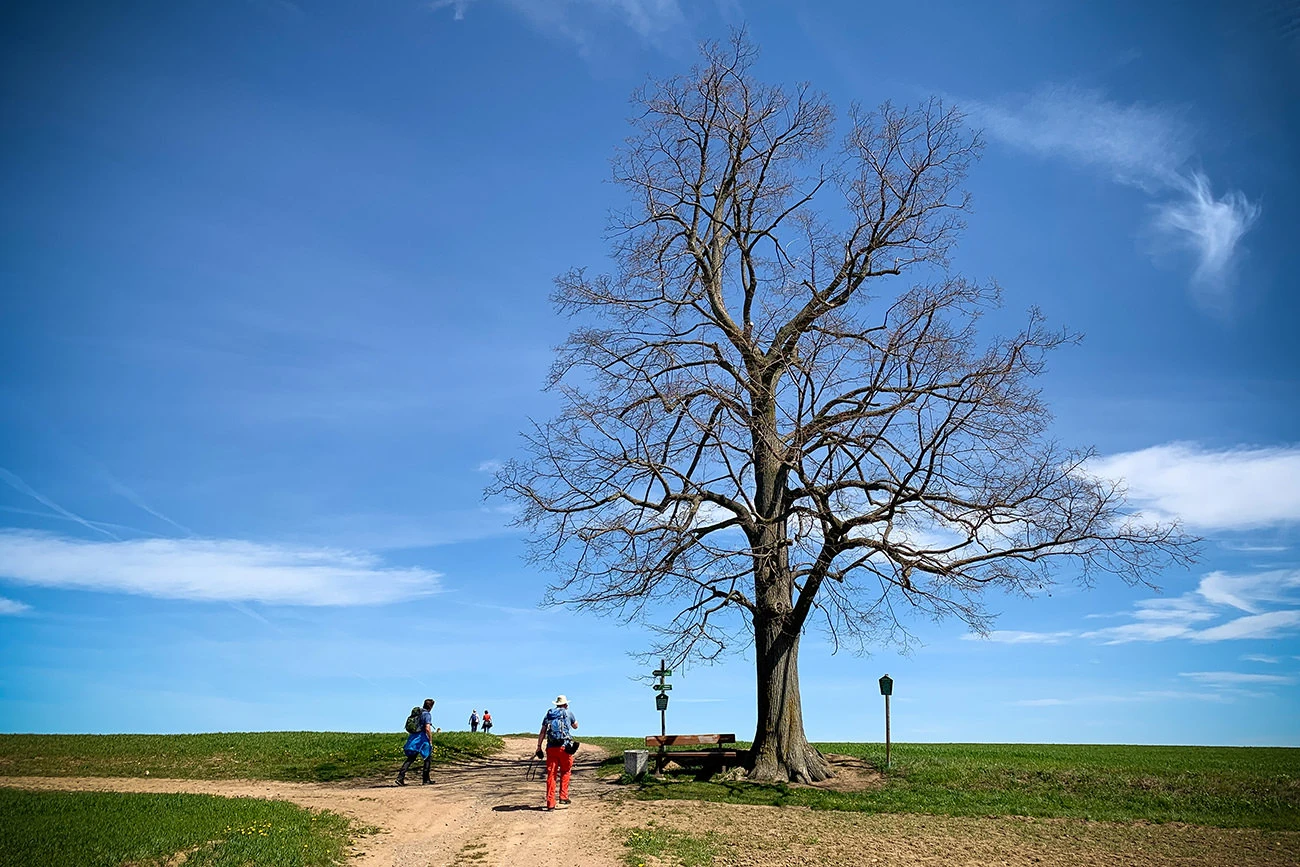 f324e-697aa-51170445220-dcf00629d3-o