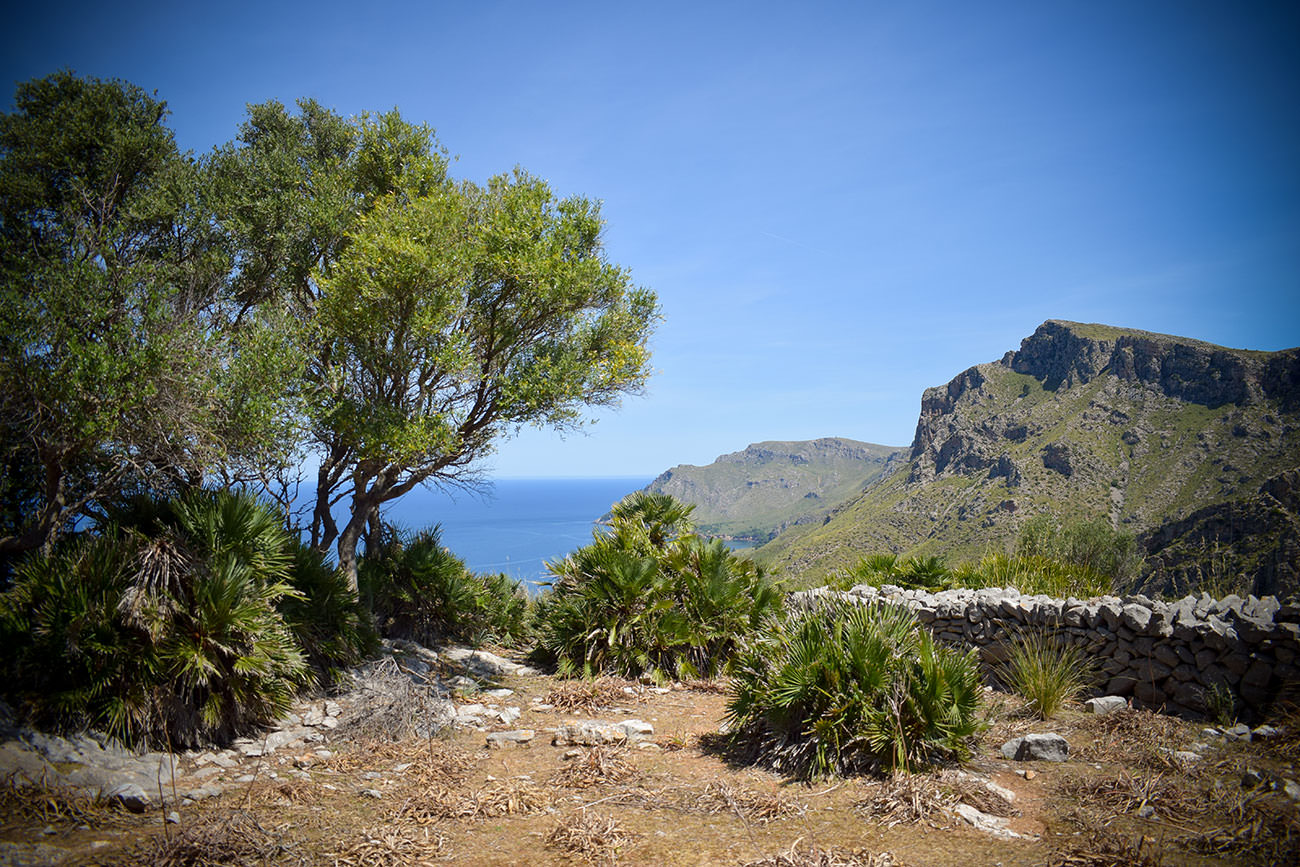 30110-1527d-52887894942-52d20c9312-o