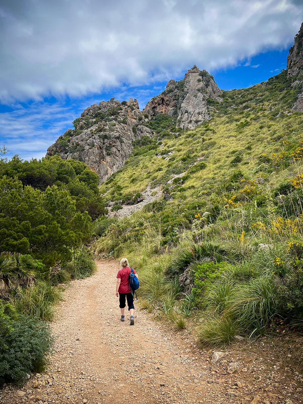 88764-ee726-52888632594-e3dc973fd3-o