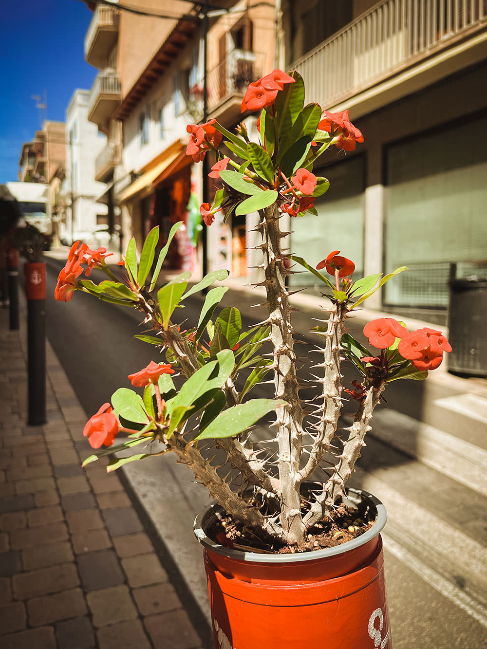 9afe3-e142c-52888467536-9e152141de-o