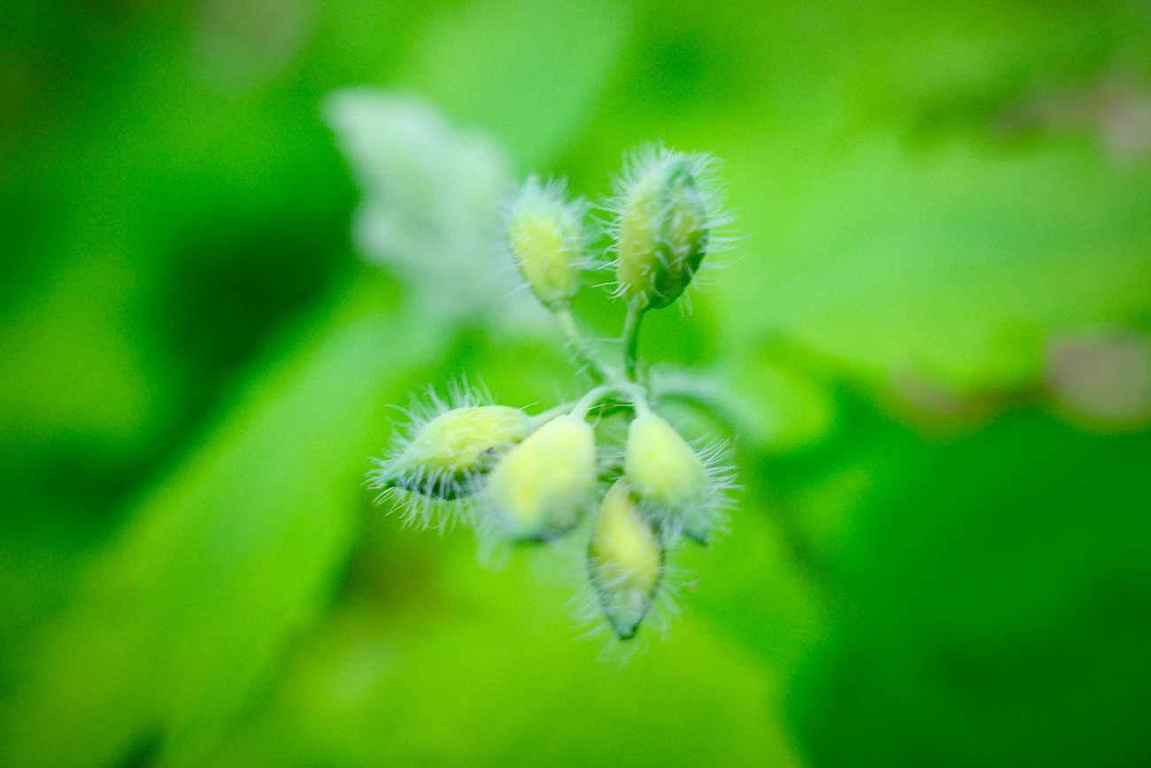 a51f1-849a0-51186548802-01ea7696e6-o