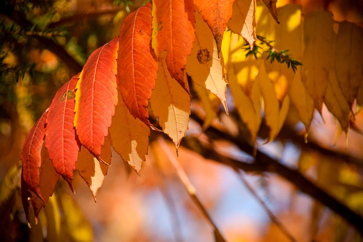 d2240-605e0-51627062027-406aebb3f1-o-1