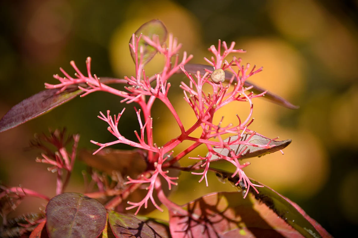 fcbf2-f73eb-51628744860-810f1171e6-o-1