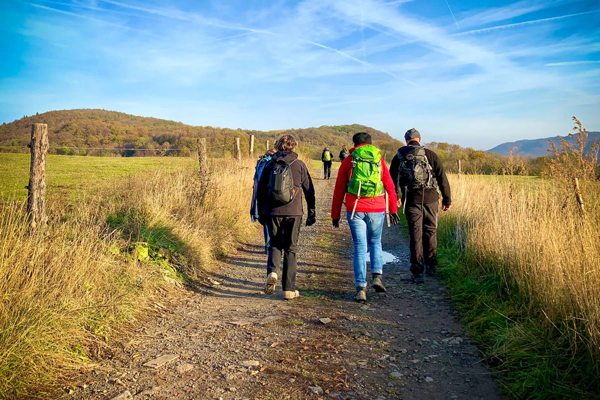 1dfff-d317d-49013590147-08c1fe084f-o