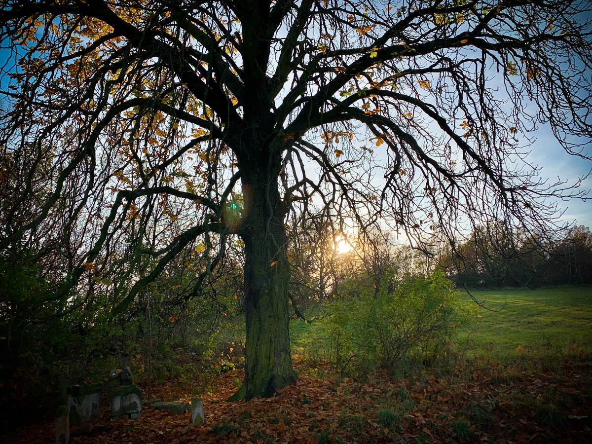 8d2c0-187c7-49013383236-40901dcd4e-o