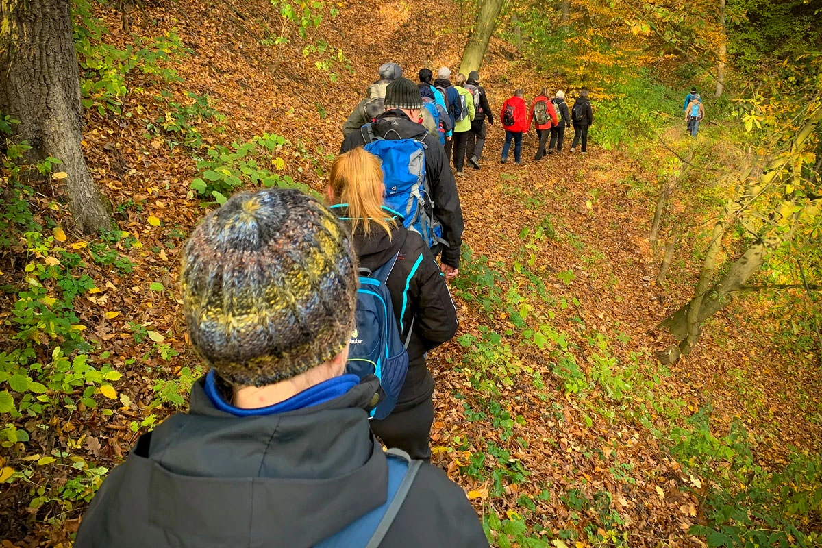 b46ca-7124a-49012856053-3a4099cd4c-o