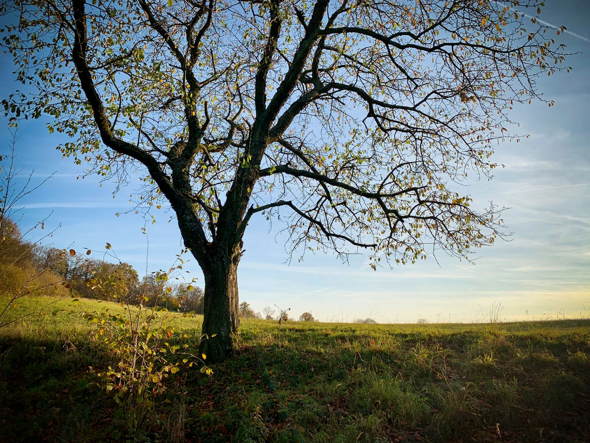 eebe2-76e69-49012855928-1b5b79c38d-o