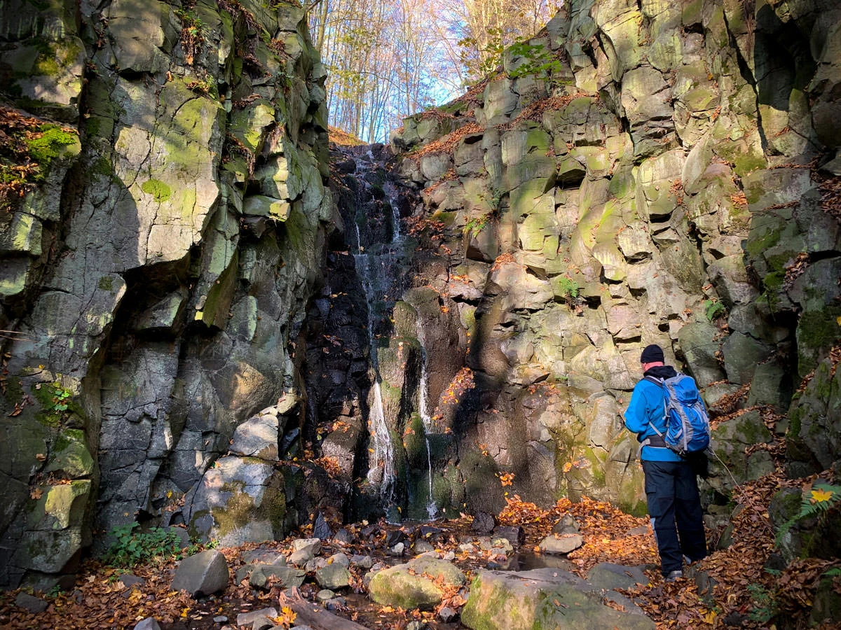 f890a-b4992-49013383366-3362c4a38d-o