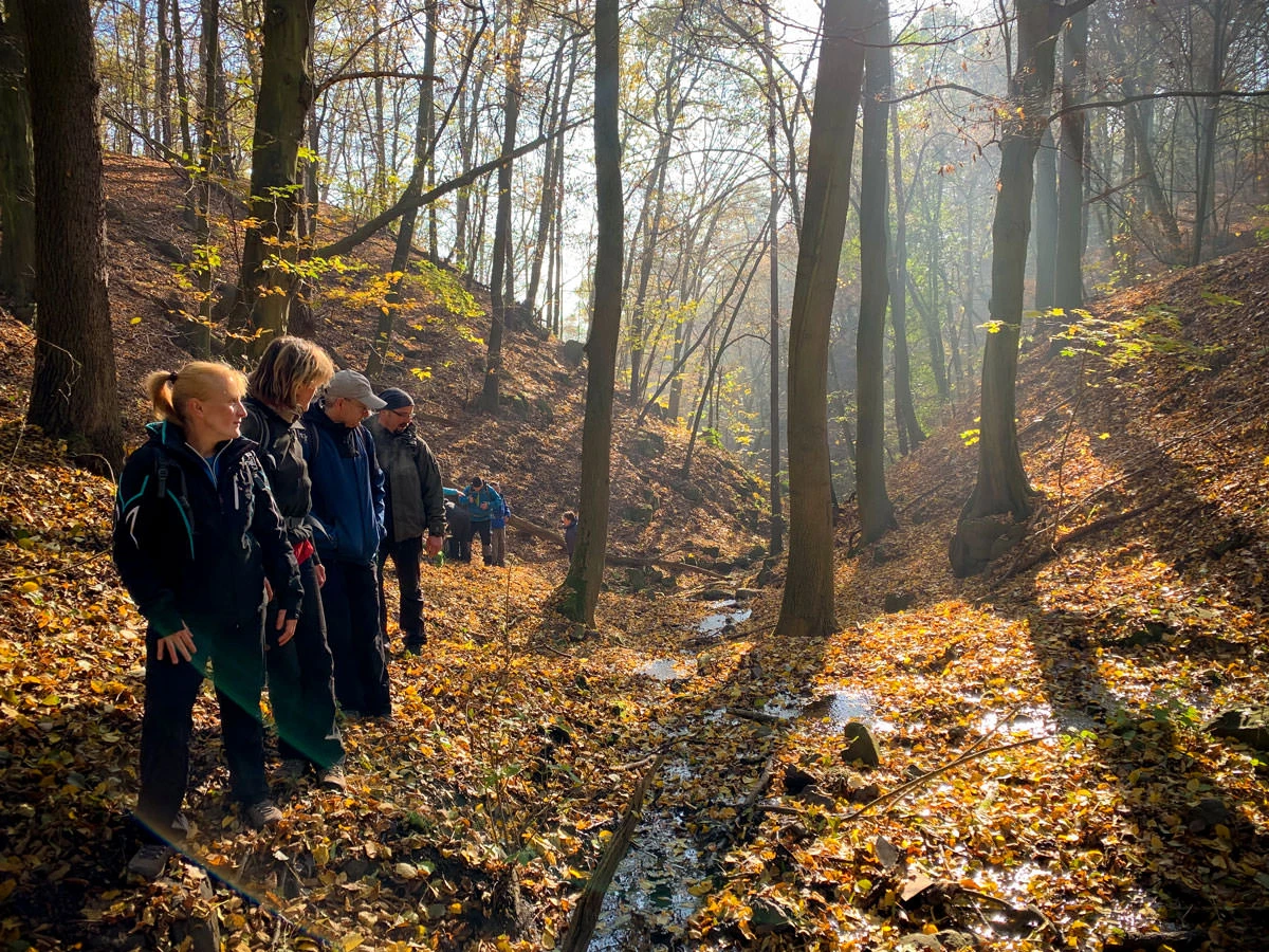 fd048-67a56-49013589737-2e77808ab0-o