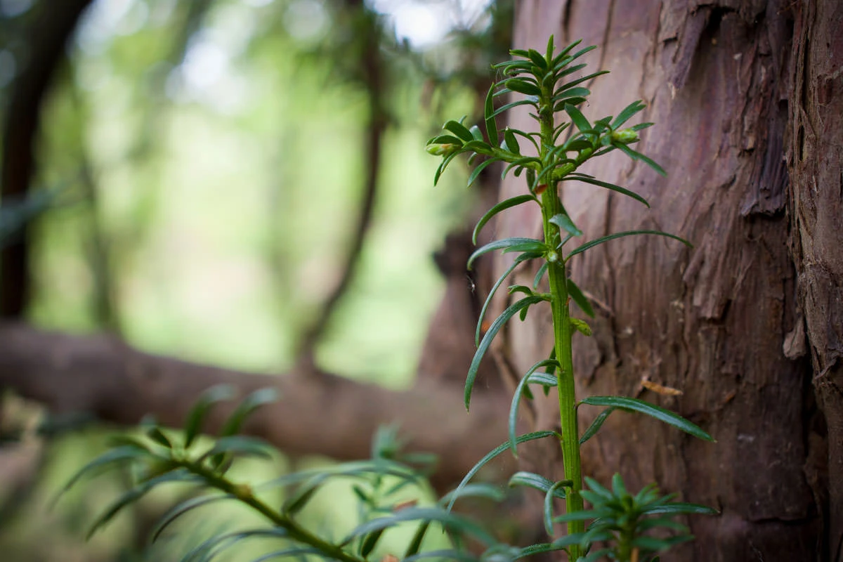 00404-45440-49848426473-4988ac1c91-o