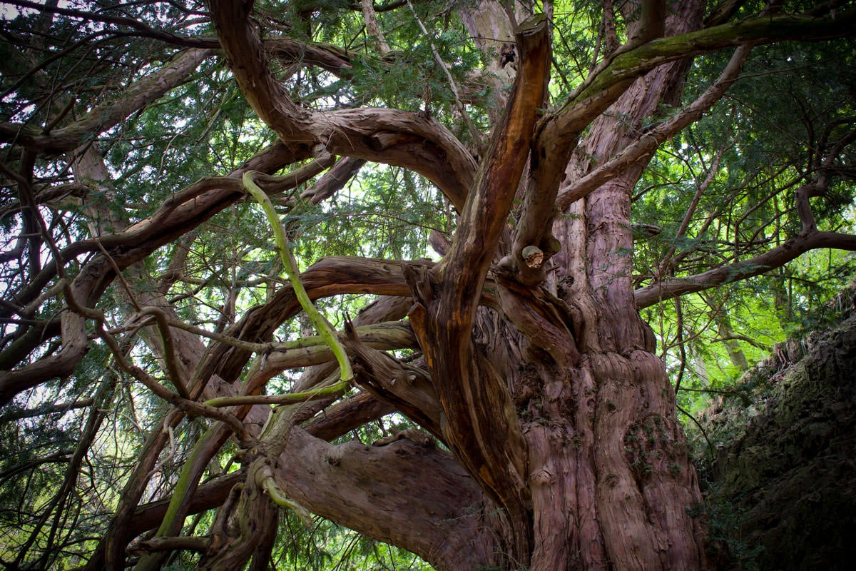 7bb84-4ed07-49848426353-93e5b89488-o