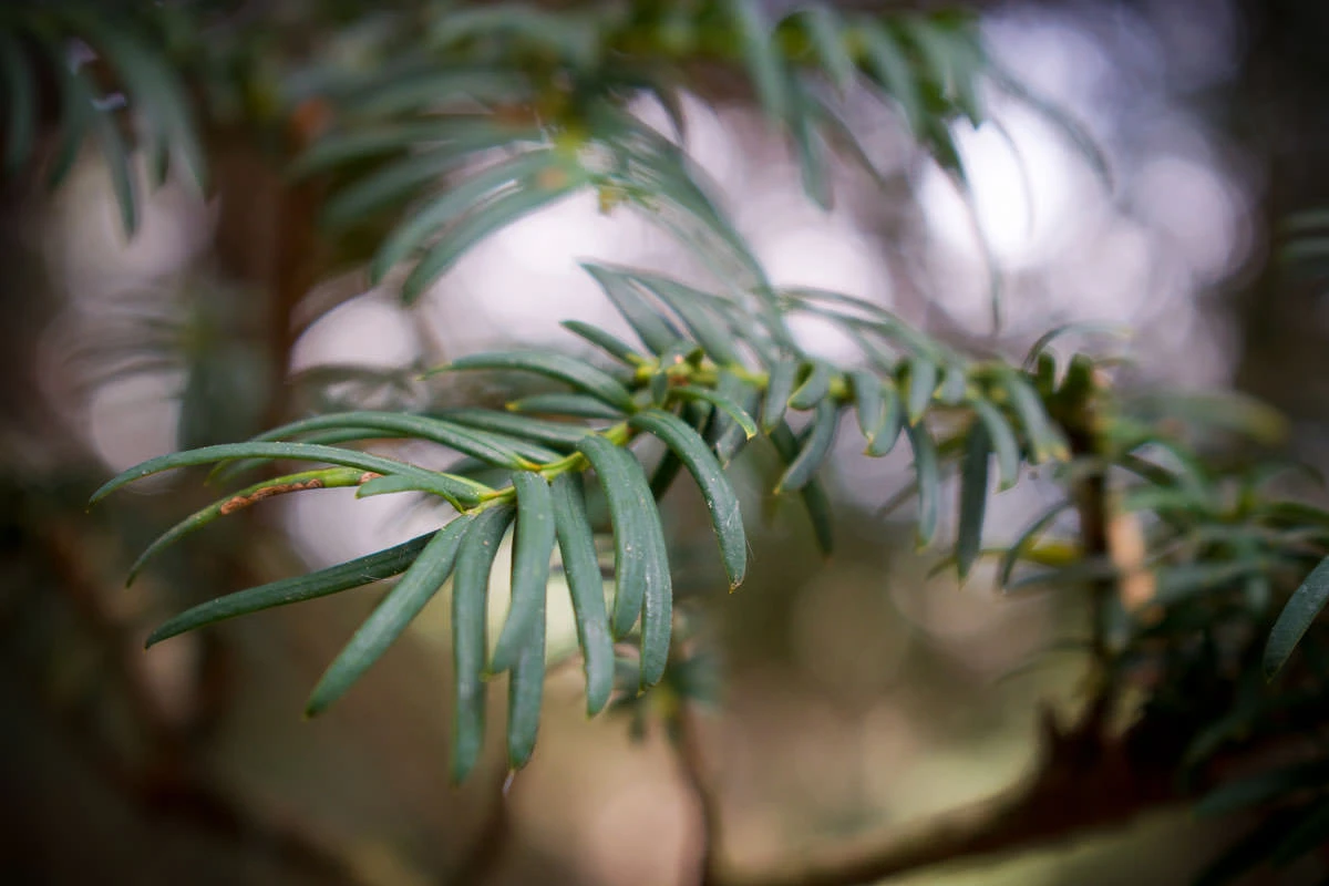 ac110-c83be-49848426318-20c2b8c434-o