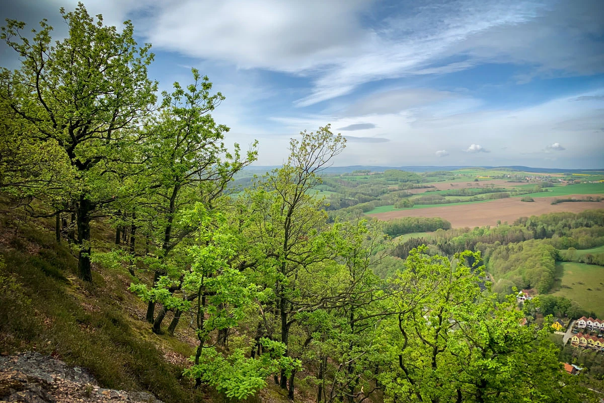 f1d33-d4343-49848958846-7c40713929-o