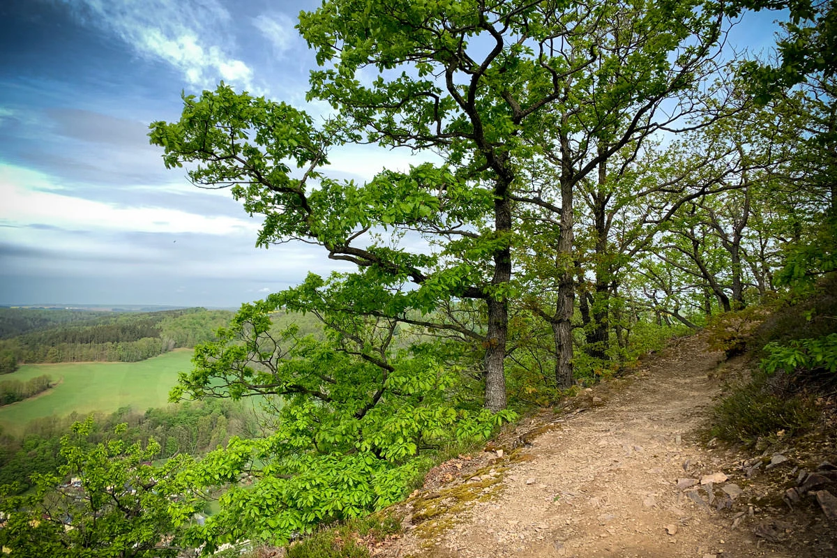 f4ef5-3f6bf-49848426528-1598ab855b-o