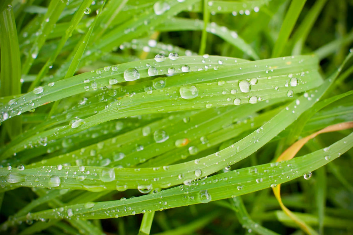 40053-ce04e-48852814323-fce11b799b-o