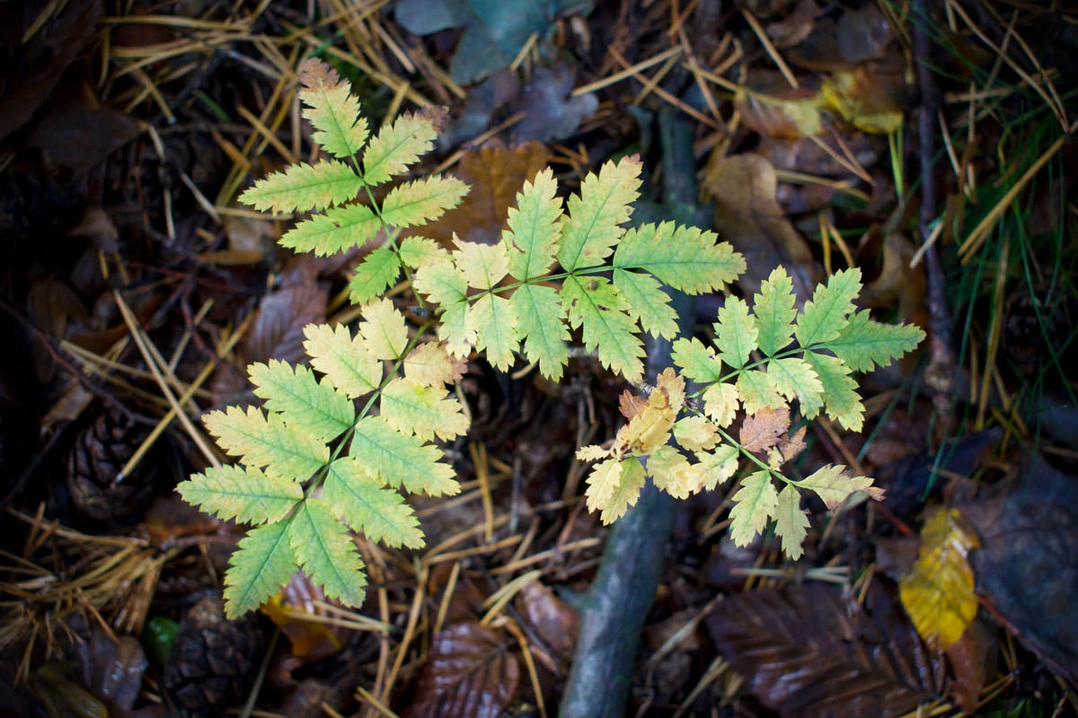 5a65a-be5fd-48853173796-5b5c6095e9-o