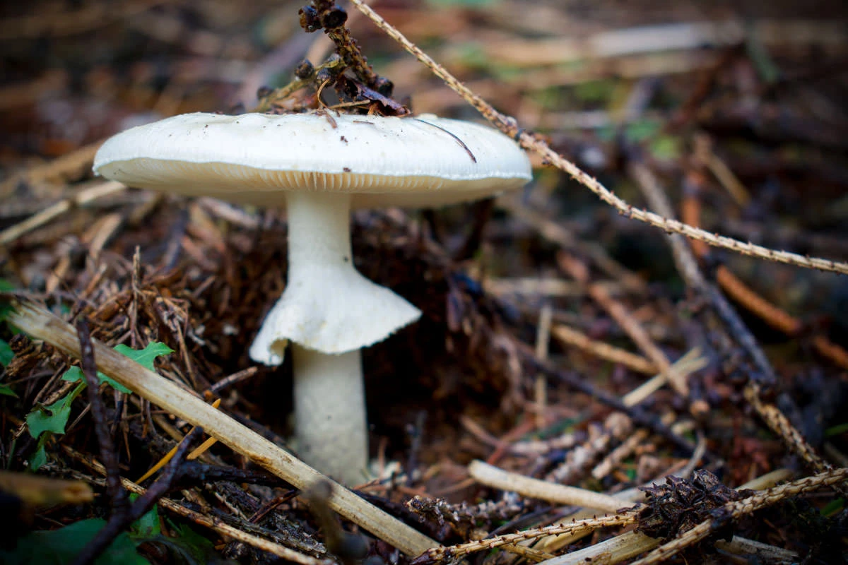 62101-1ae55-48853365967-f30e0ea49b-o