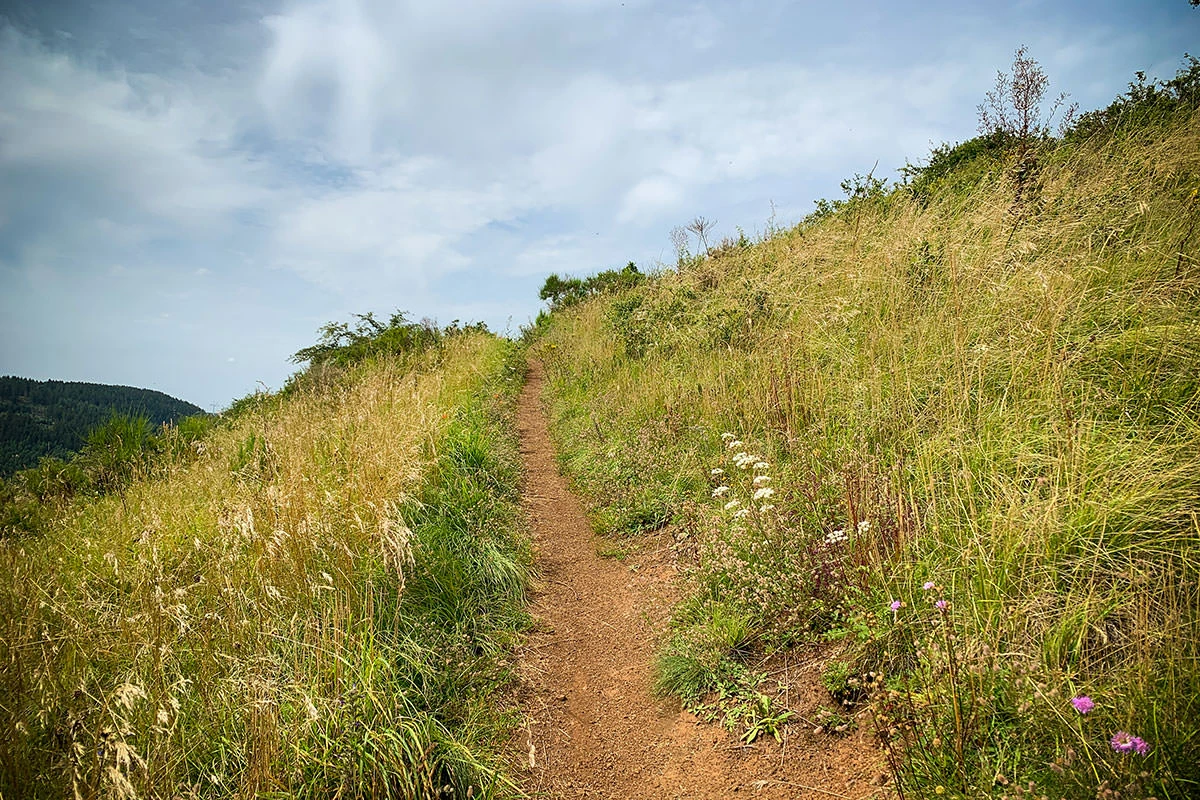 535b5-815f7-51400847177-012c352e26-o