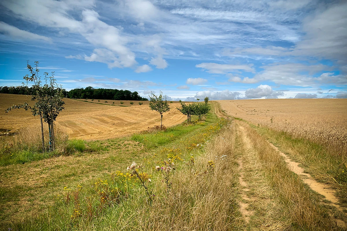 a4047-fdfeb-51401858948-574b77b01a-o