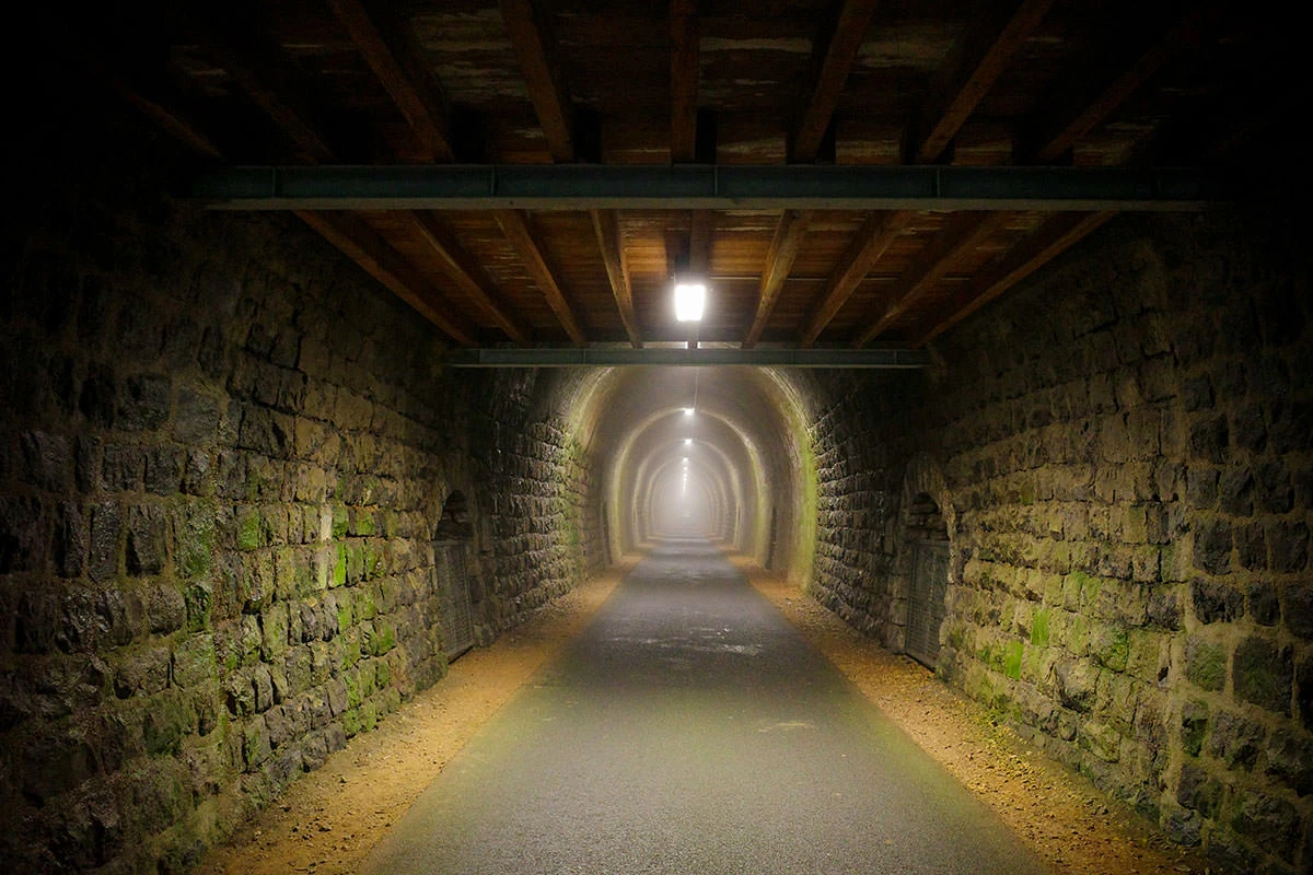 c7cda-e98fe-51401595326-7ffeec2104-o