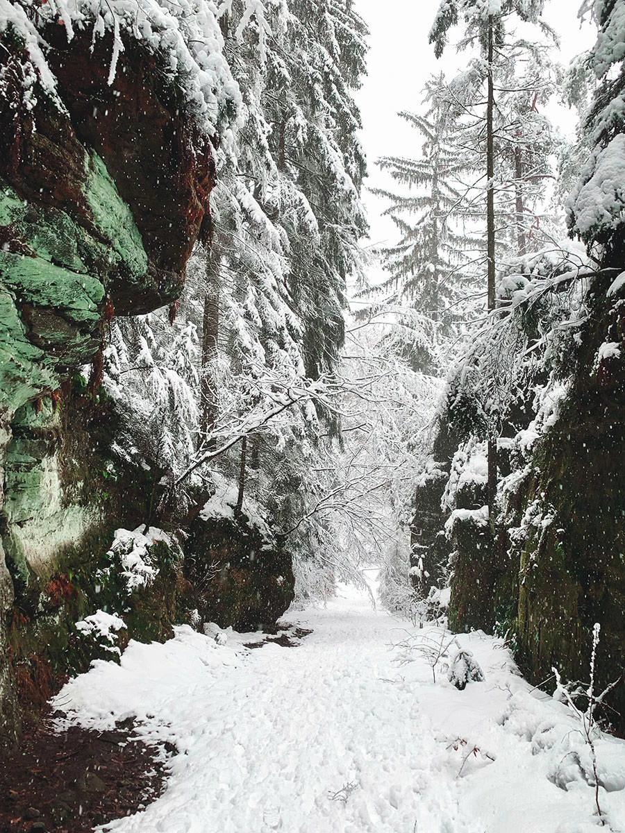 236e7-c8c88-50873490133-c5e77eefbc-o