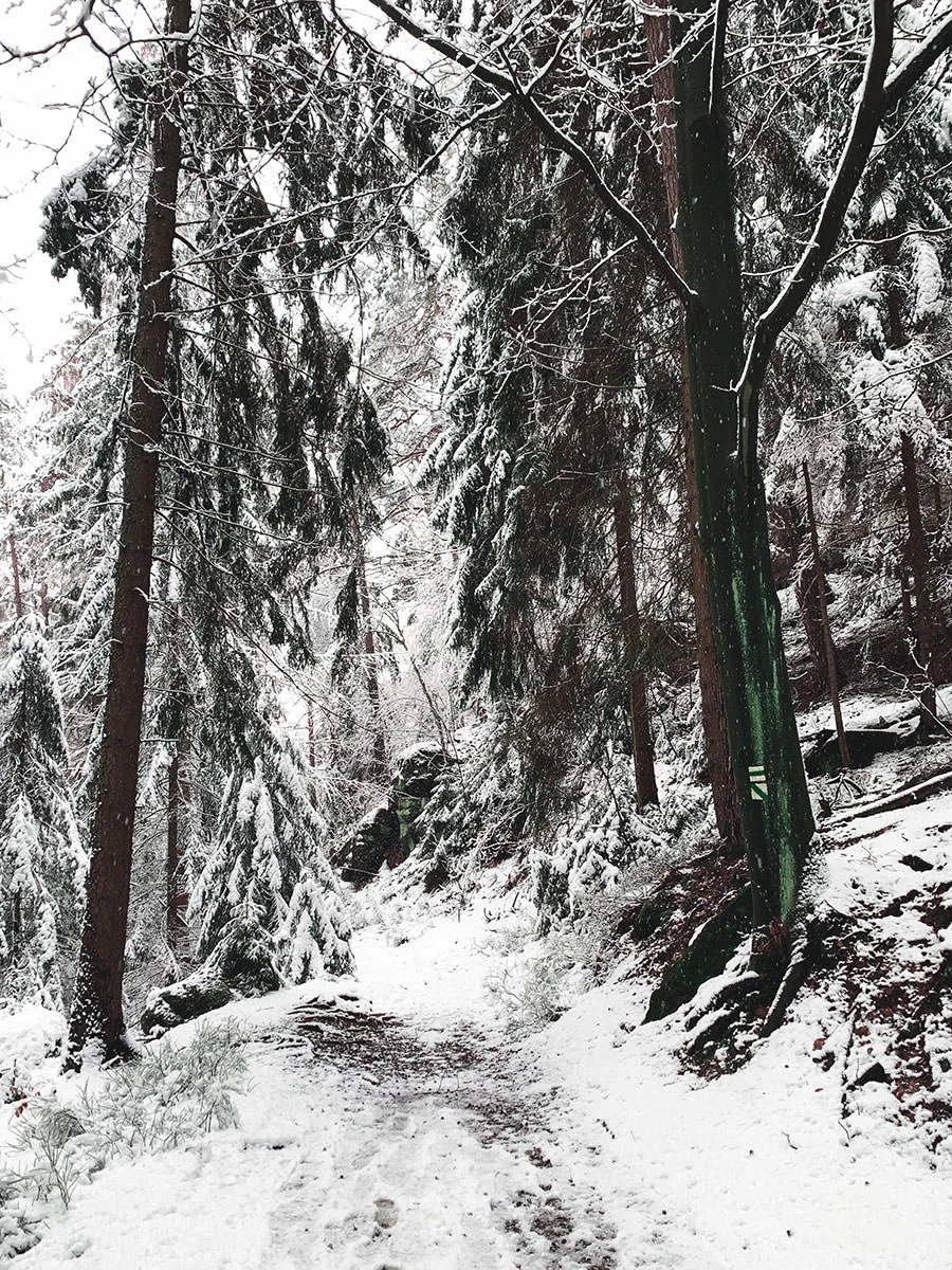 6dcf5-2a351-50874298687-b5cde6ea80-o