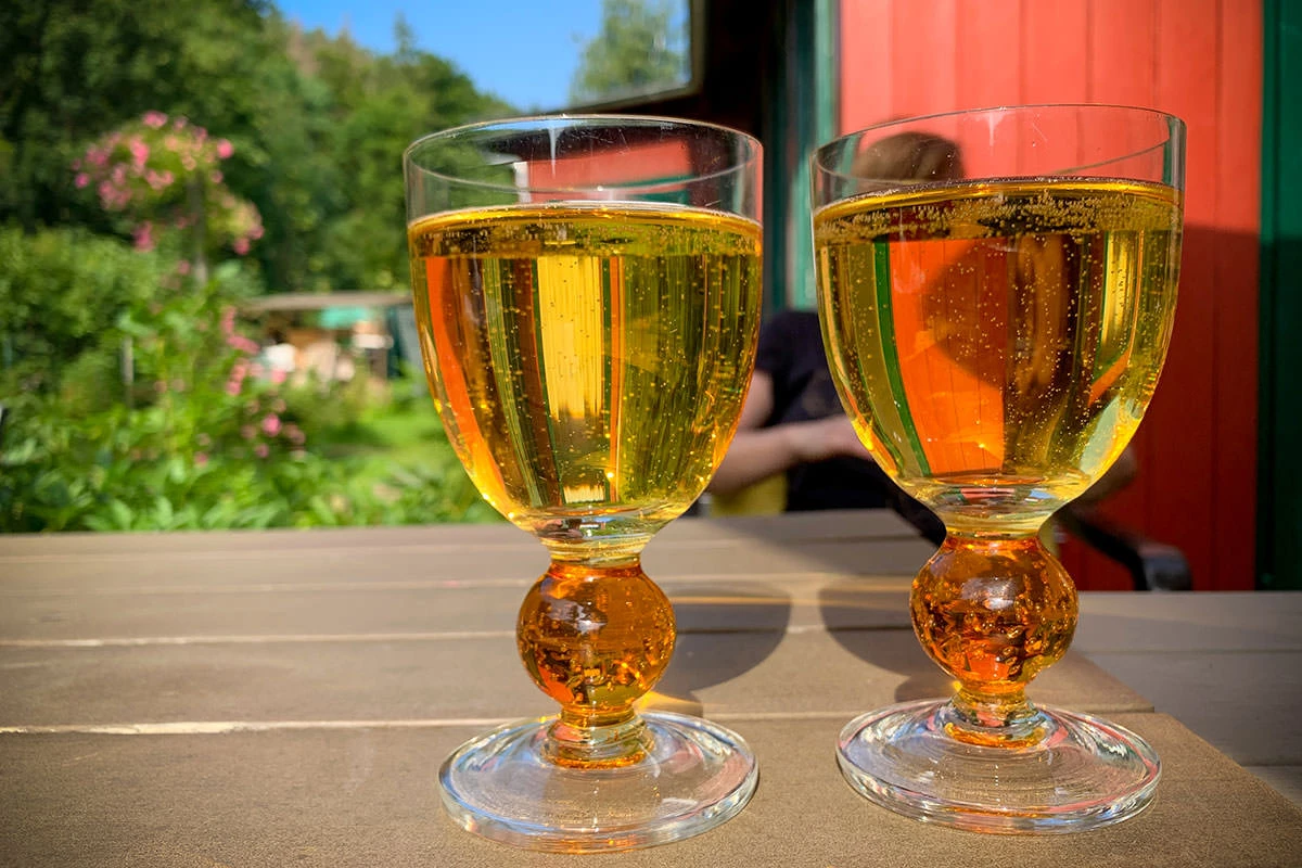 cd543-a8a18-51337197294-0995e8c9f1-o