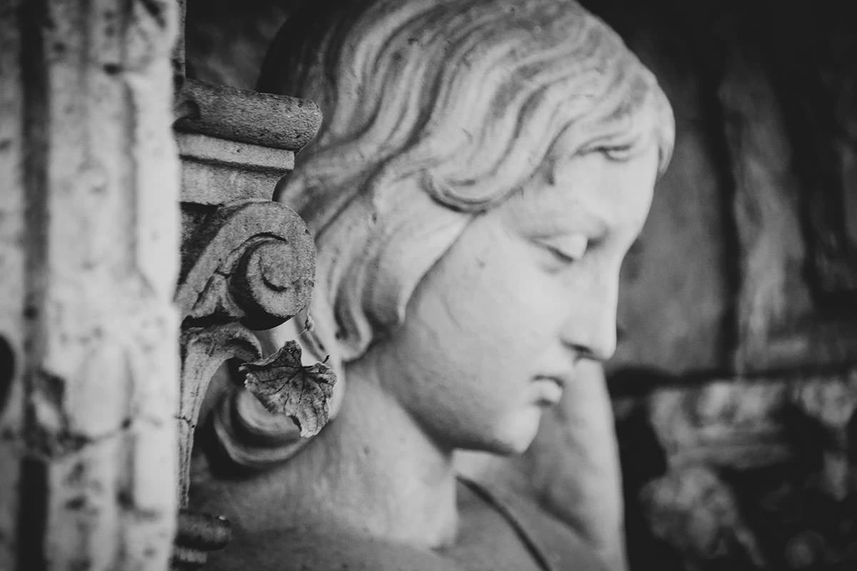 f1027-7a745-50596510302-c5456a7b2e-o