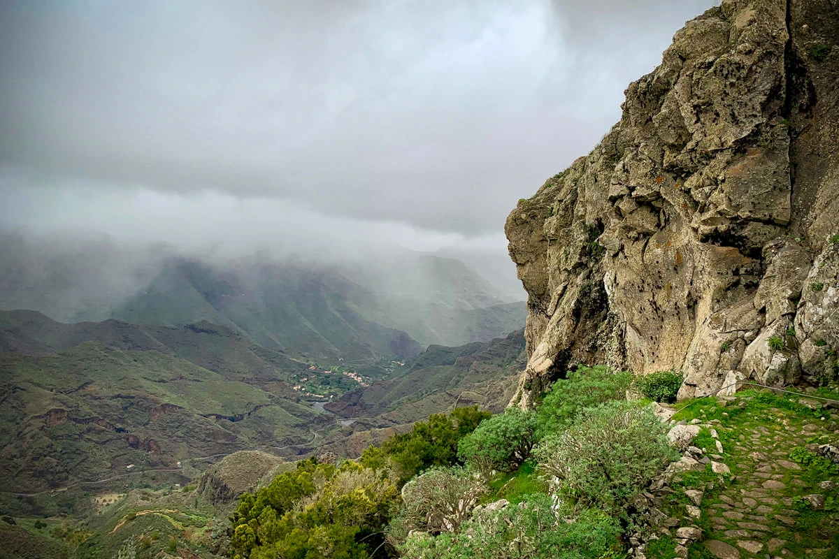 309af-cda4b-46037211372-48c70c77b6-o