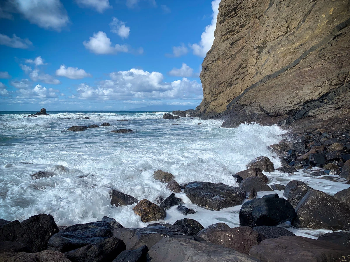 65042-c5882-46037211022-e8ec9bee6d-o