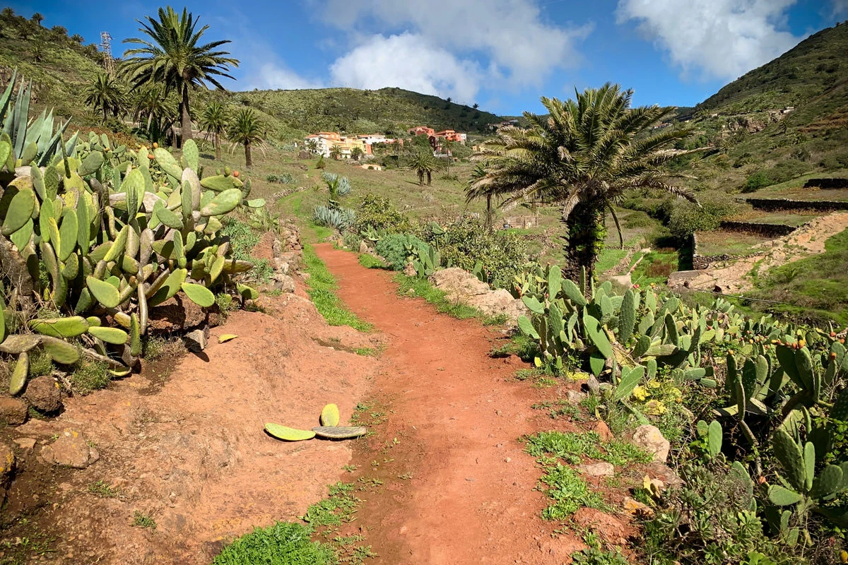 9cfeb-1c3f9-31148366857-7984e3a992-o