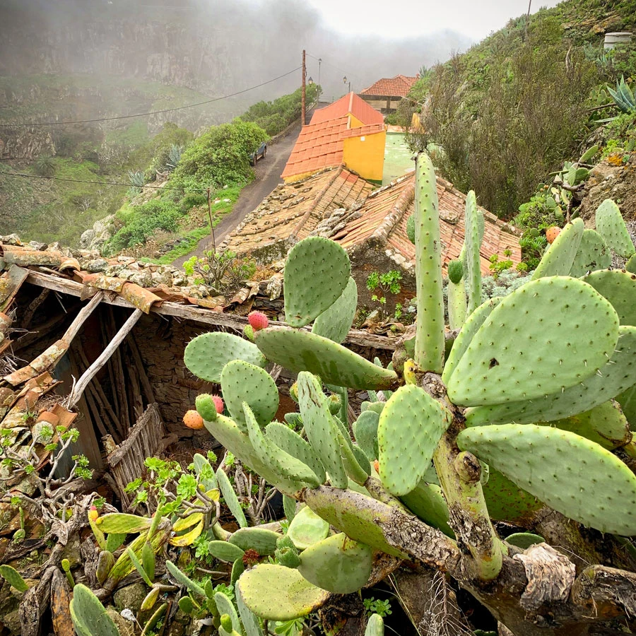 ae5c0-687f4-31148367347-fa0756951c-o