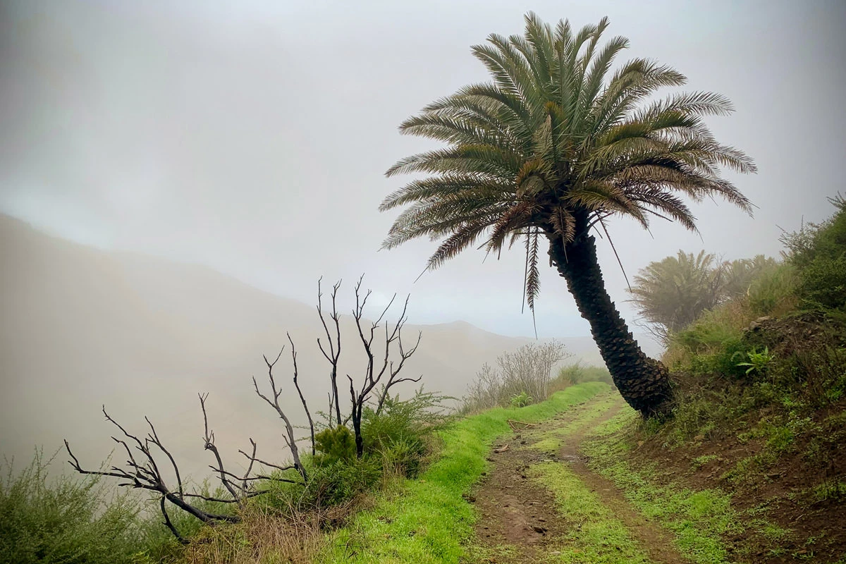 b1a54-593f6-31148366867-1d394e9b28-o