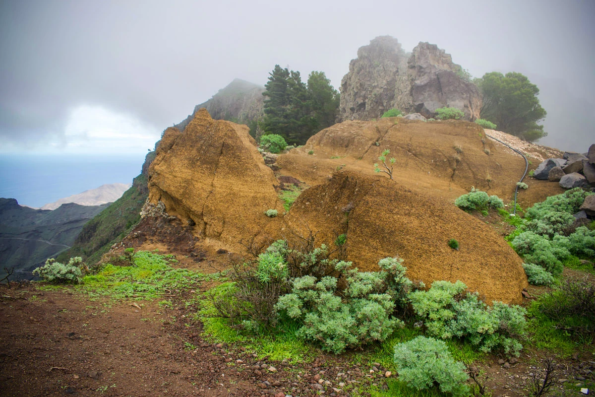 e046a-c884e-31148367537-1c2877333b-o