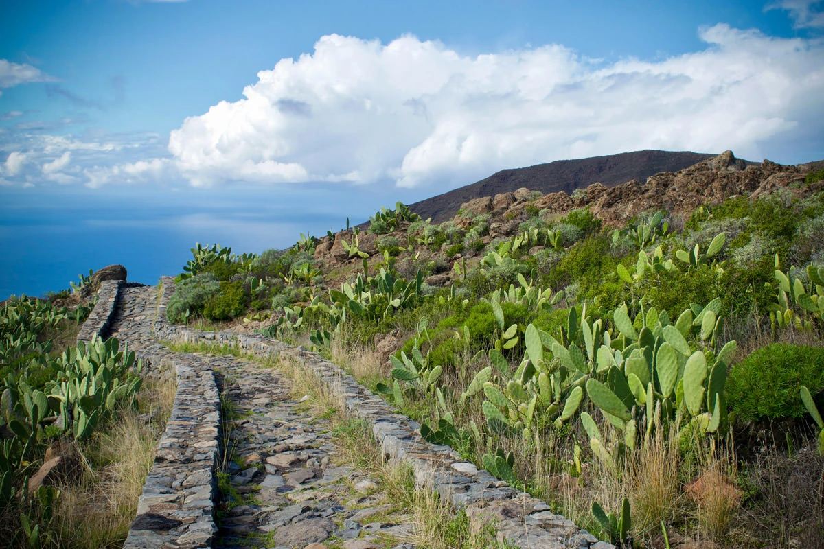 e4078-f0cc7-31148367507-42297cfa68-o