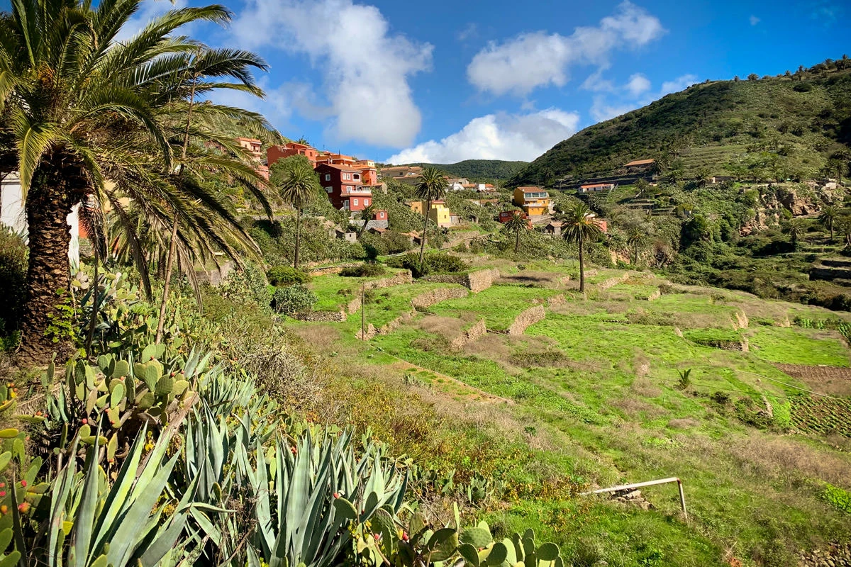 ff196-168b3-45175531375-59fcb99a4b-o